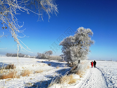 吉林雾凇岛冰雪天地宛如仙境高清图片