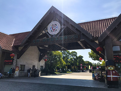 国家食品上海海湾国家森林公园背景