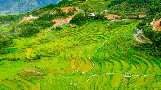 贵州梯田浙江云和梯田景区背景