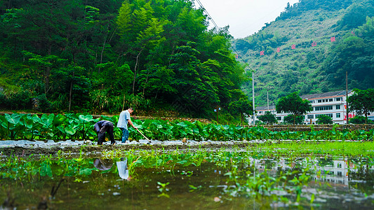 浙江温州水口村乡村旅游图片素材