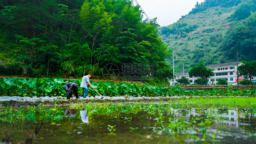 浙江温州水口村乡村旅游图片