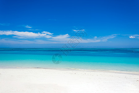 国外美女海滩背景