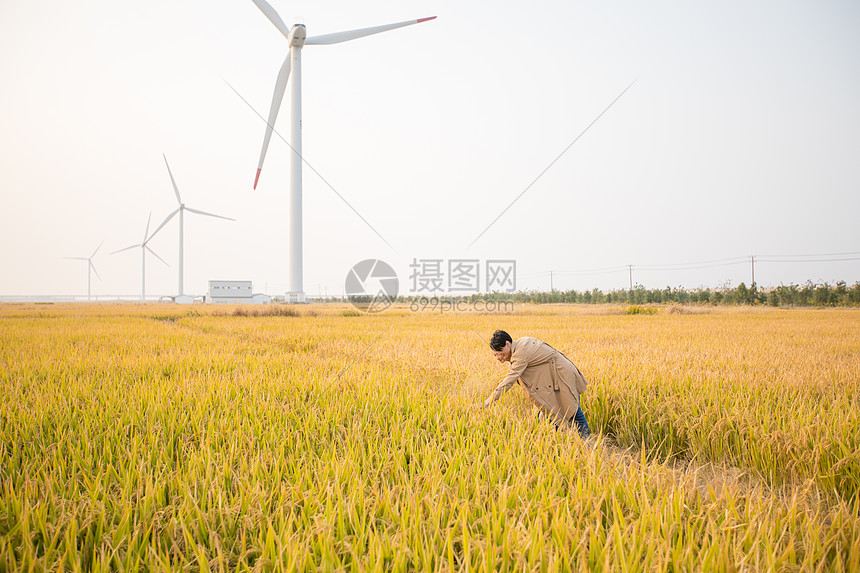 情侣郊游图片