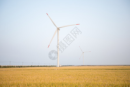 中国农民丰收日稻田风力发电机背景