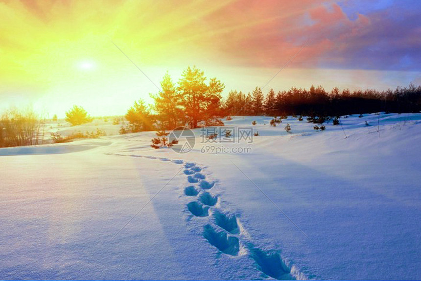 冬季雪景图片