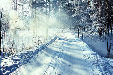 冬季雪景图片