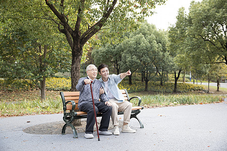 敬老公园陪伴老人背景图片