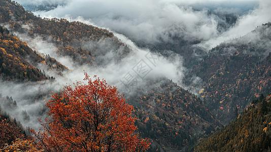 川西雾川西风景黑水县高清图片