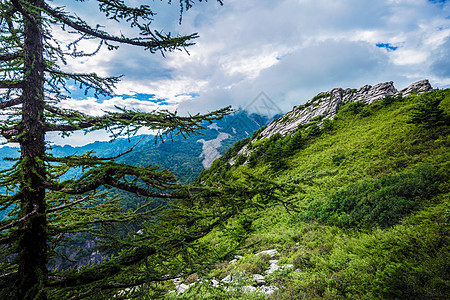 山顶公园西安朱雀山国家森林公园背景