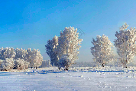 冬季雪景图片