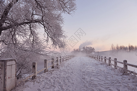 冬季雪景图片