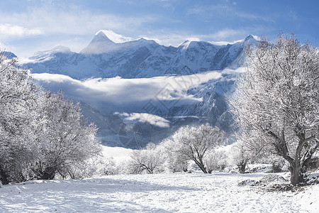 冬季雪景图片