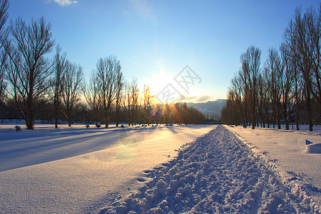 冬季雪景风景中雪高清图片