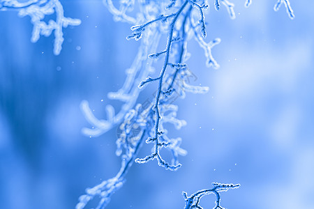 雾凇雪景呼伦贝尔根河风光系列背景