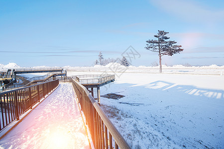 雪地自行车冬季雪花设计图片