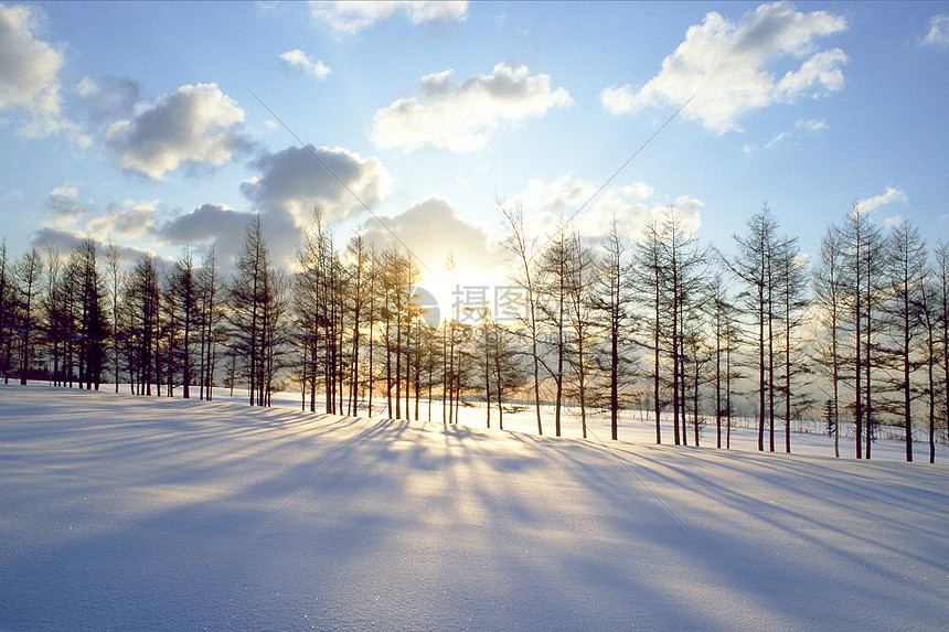 冬季雪景图片