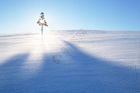 冬季雪景景色中雪高清图片