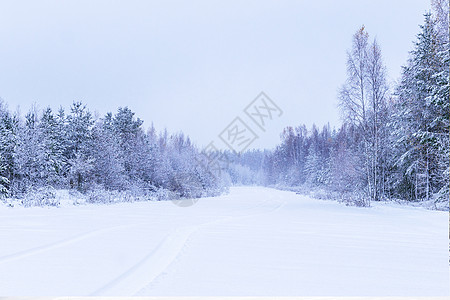 零下冬季雪景设计图片