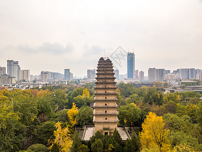 开福寺秋天的小雁塔背景