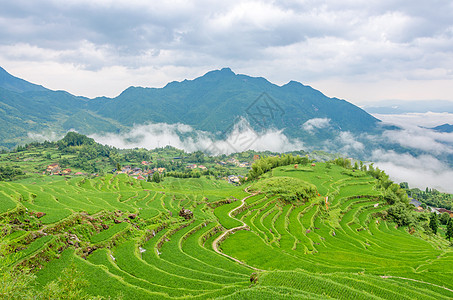 浙江丽水云和梯田风景丽水云和梯田风光背景