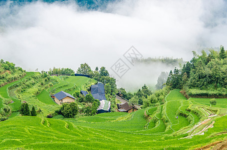 浙江丽水云和梯田风景丽水云和梯田风光背景