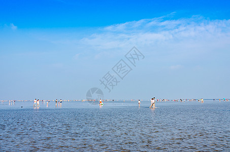 南通海门江苏启东黄金海滩背景