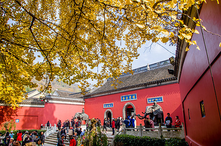 壁纸深秋南京栖霞寺的红墙与银杏背景