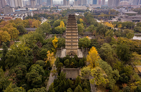 开福寺西安小雁塔秋色背景