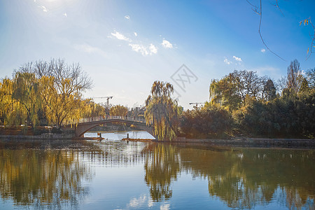 北京紫竹院公园深秋河边景色图片