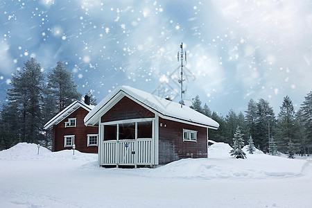 冬季雪景雪地中雪高清图片