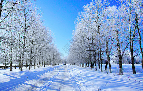 冬季雪景图片