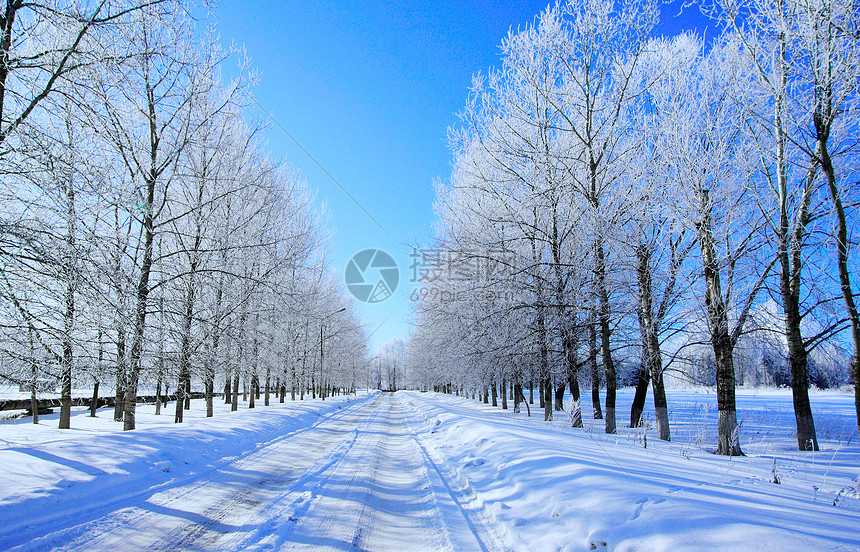 冬季雪景图片