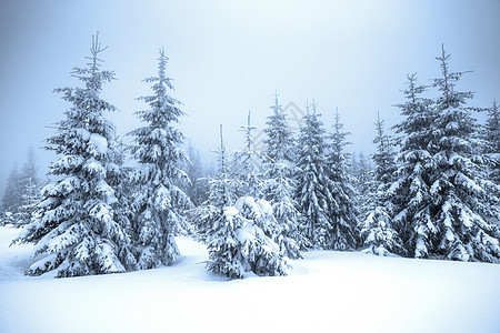 冬季雪景图片