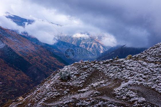 雪后夹金山图片