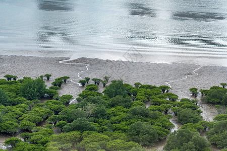 百老汇音乐剧澳门百老汇酒店对面海边自然生态环境背景