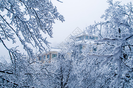 黄山雾凇建筑雪景图片