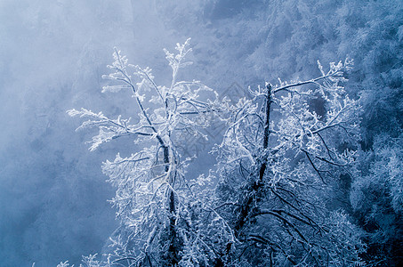 黄山冬季黄山雾凇雪景背景