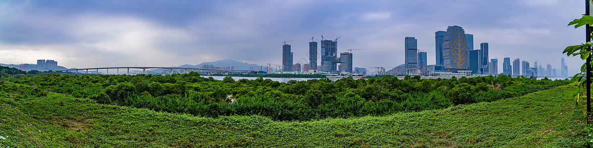 澳门琴海东桥图片