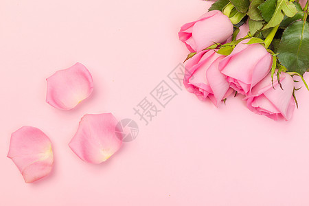 情人节粉色背景素材图片