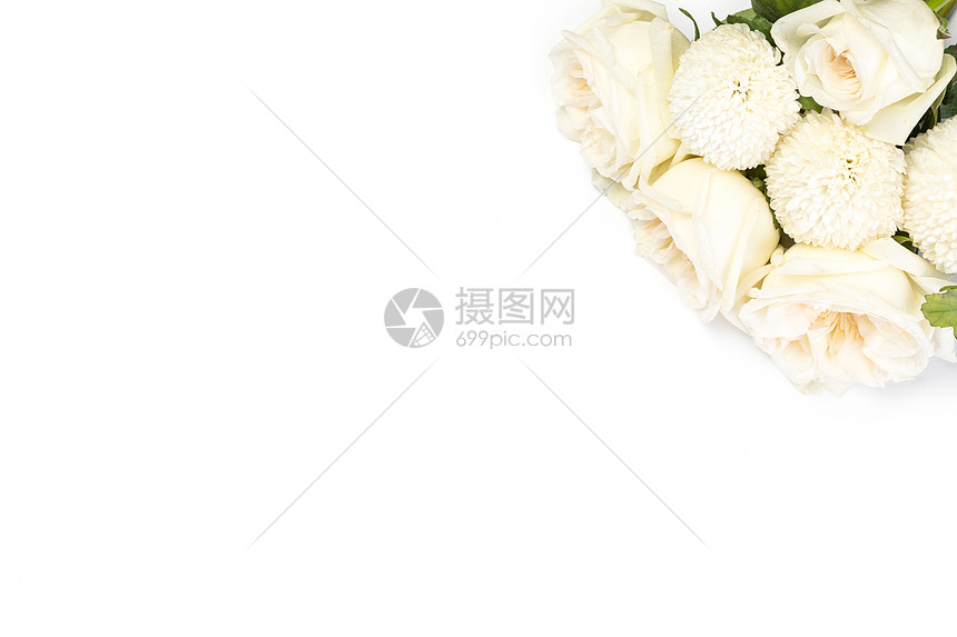 白玫瑰背景图图片
