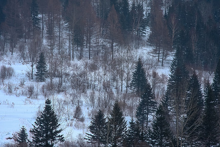 吉林长白山风景区高清图片