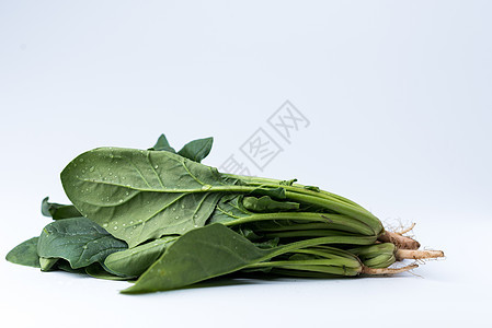 菠菜绿色高清图片素材
