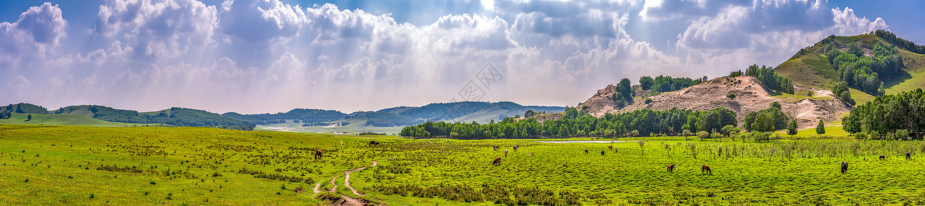 生态环境青青草原全景接片背景