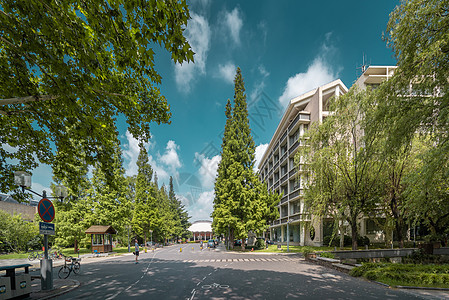 上海同济大学美丽校园背景