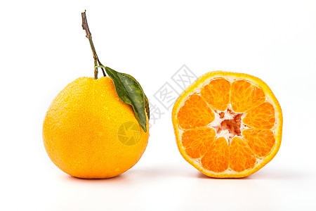 丑桔柑橘静物棚拍图片