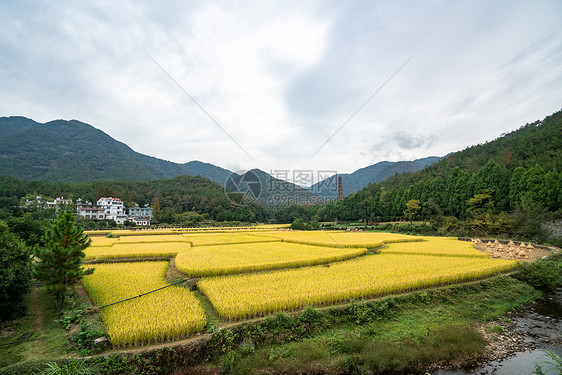 田园风光图片