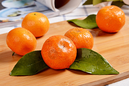 手绘橘子橘子背景
