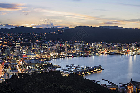 新西兰夜景新西兰惠灵顿维多利亚公园俯视夜景背景