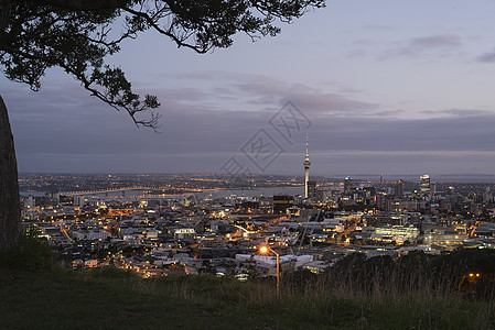 新西兰夜景新西兰奥克兰夜景 城市天际线背景