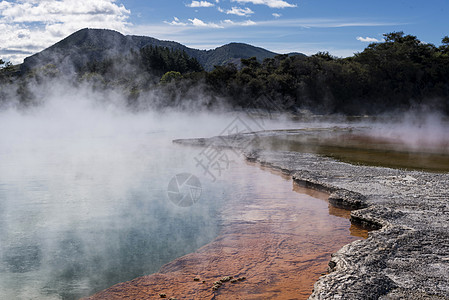 新西兰北岛罗托鲁拉地热公园背景